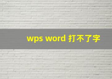 wps word 打不了字